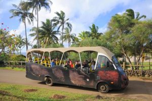 Maururu Travel 05 Rapa Nui Isla de Pascua